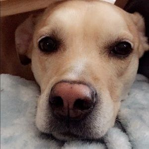 Meet your Posher, Alina